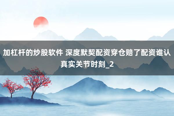 加杠杆的炒股软件 深度默契配资穿仓赔了配资谁认真实关节时刻_2